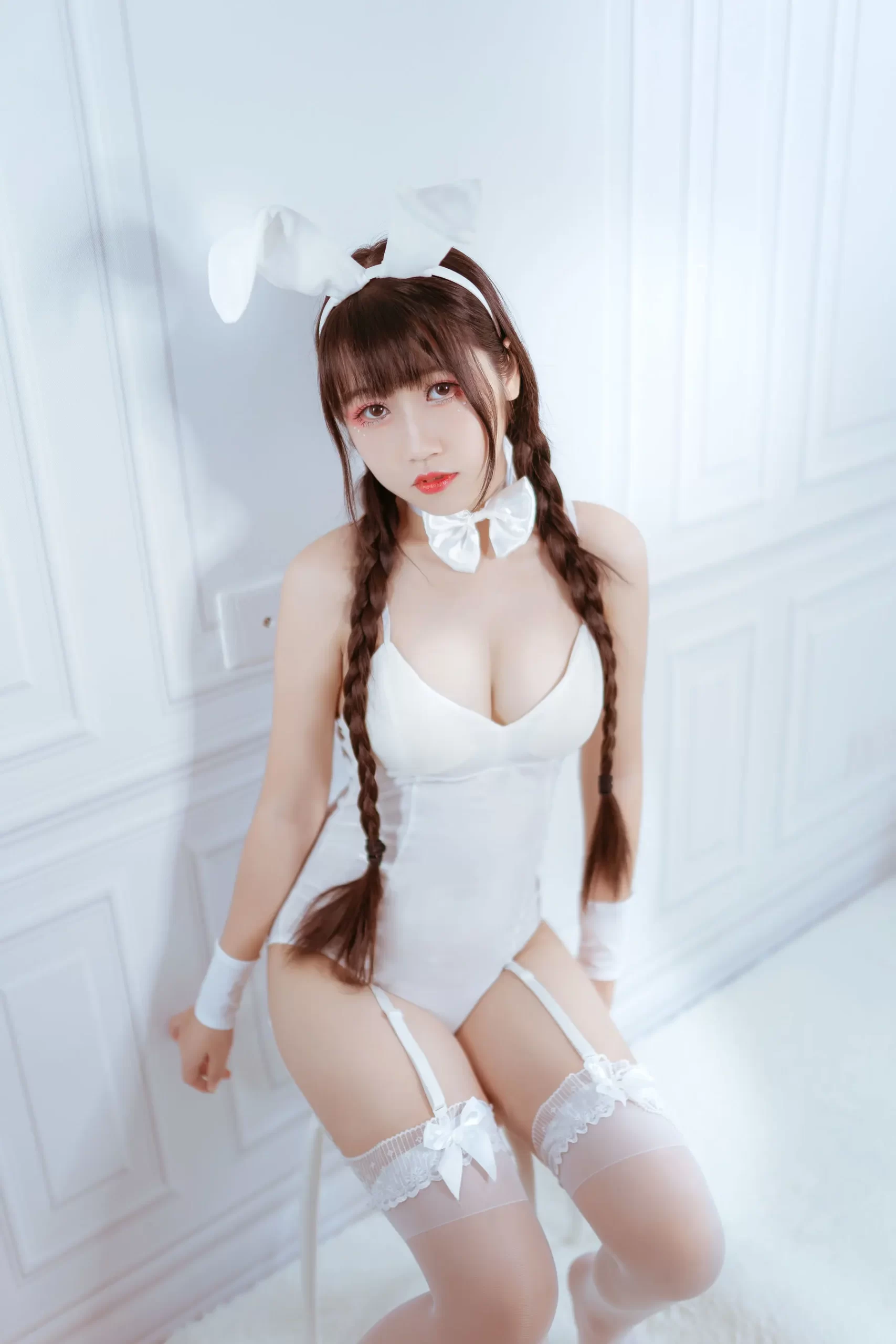 不呆猫视频图集