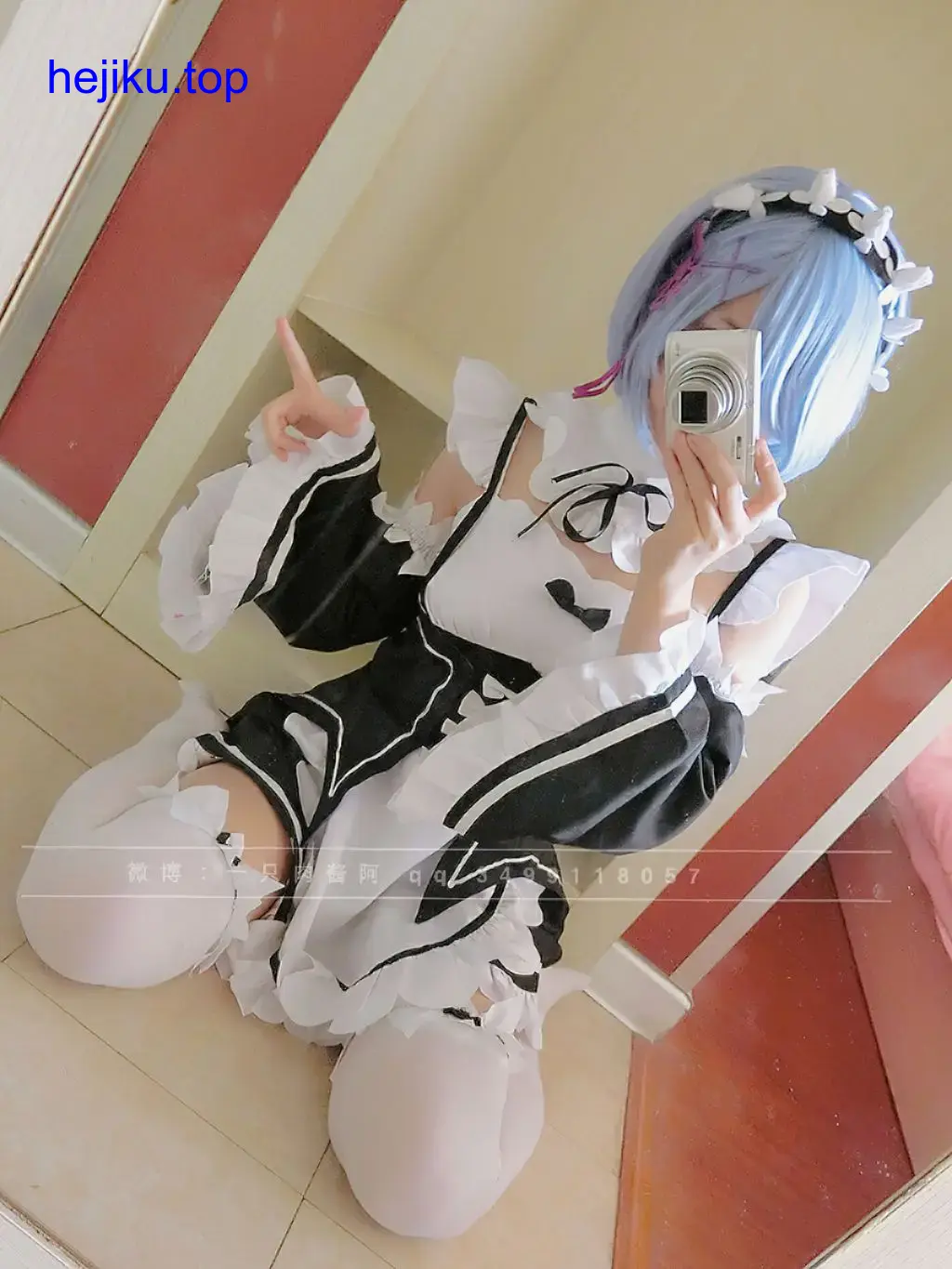 一只肉酱阿最全图鉴