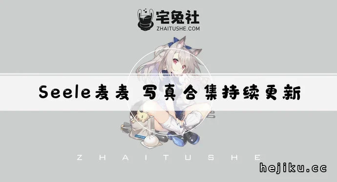 Seele麦麦全套文章配图1