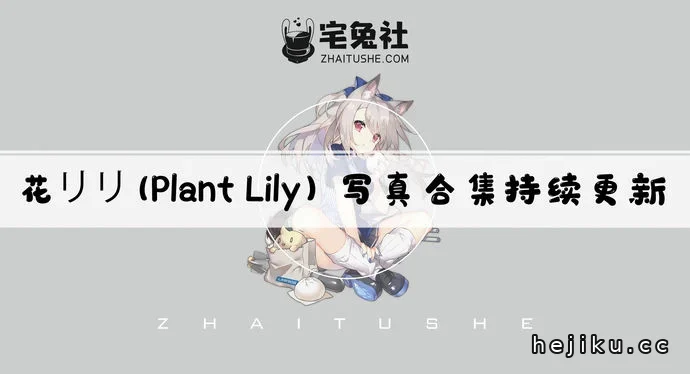Plant Lily文章配图1